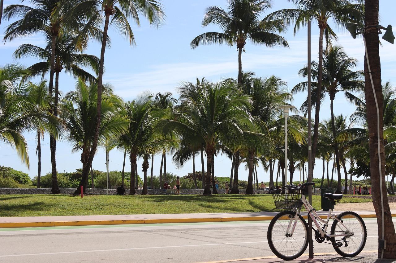Coastal road along the Diplomat Parkway corridor